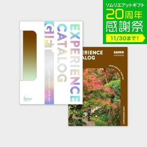 Ε ~Mtg ̌^J^OMtg ŃJ^OMtgiBROWNj / SOW EXPERIENCE \E GNXyGX ŃV[Y MtgJ^O ̌ s s j V vw e L