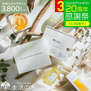 NX}Xv[g Dȍ肪Iׂ ̖ J^OMtg [webJ^OMtg J[h^Cv ̖ vol.2 ] Tree Of Life A} RX r[eB[MtgZbg   ObY 