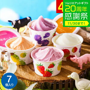 Ε ~Mtg ACX kCt[cACXoGeB 7 [J[ ЂXC[c ACXN[ j oYj j i JGS  ܎Oj Mtg