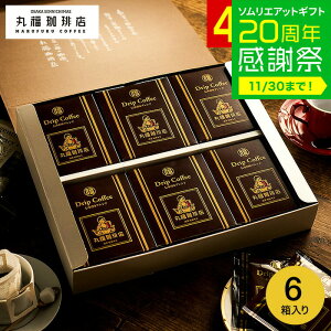 Ε ~Mtg R[q[Mtg ەX `uh hbvR[q[ 5pbN×6Zbg DP10G-6 / IWiuh hbvpbN MtgZbg v[g j oY 