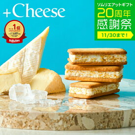 お歳暮 冬ギフト お菓子 楽天1位 ”サクサク食感 チーズのスイーツ” +Cheese プラスチーズ （包装済、外のし） 内祝い お返し おしゃれ 出産内祝い 両親 結婚祝い 結婚内祝い 新築祝い チーズサンド クッキーサンド ガレット 手土産 個包装 焼き菓子 洋菓子 JGS ギフト