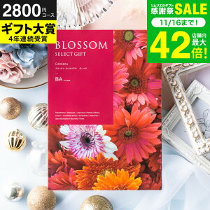 Ε ~Mtg J^OMtg ubT BAR[X / j  oY j oYj @v Cj җ j ސE  LOi O Hו ʐ^ bZ[WJ[h i 