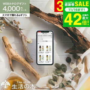 𑡂 ̖ J^OMtg X}ző eMtg [webJ^OMtg e-GIFT ̖ vol.3] Tree Of Life tOX A}IC  n[ueB[ RX MtgZbg 