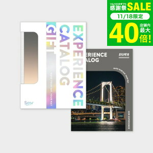 Ε ~Mtg ̌^J^OMtg ŃJ^OMtgiSILVERj / SOW EXPERIENCE \E GNXyGX ŃV[Y MtgJ^O ̌ s s j V vw e 