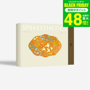 Ε ~Mtg ̌^J^OMtg XpGXe`Pbg֐PLUS / SOW EXPERIENCE \E GNXyGX XpGXeV[Y MtgJ^O ̌ GXe `Pbg v[