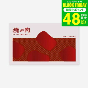 Ε ~Mtg ̌^J^OMtg ēMtg / SOW EXPERIENCE \E GNXyGX ̌ MtgJ^O O  `Pbg vw e j LO v[g a 蕨 H