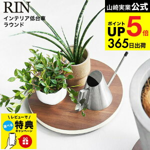 yr[Tz[ CeA  Eh ] R  RIN 10062 10063 uE i` /  ω׏d30kg ԑ ϗtA A u C@ T[L[^[ 