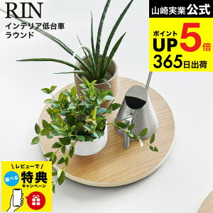 yr[Tz[ CeA  Eh ] R  RIN 10062 10063 uE i` /  ω׏d30kg ԑ ϗtA A u C@ T[L[^[ 