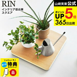 yr[Tz[ CeA  XNGA ] R  RIN 10064 10065 uE i` /  ω׏d30kg ԑ ϗtA A u C@ T[L[^[ 