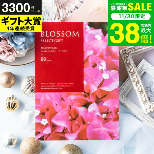 Ε ~Mtg J^OMtg ubT BBR[X / j  oY j oYj @v Cj җ j ސE  LOi O Hו ʐ^ bZ[WJ[h i 