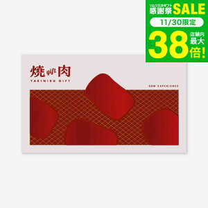 Ε ~Mtg ̌^J^OMtg ēMtg / SOW EXPERIENCE \E GNXyGX ̌ MtgJ^O O  `Pbg vw e j LO v[g a 蕨 H