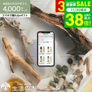 𑡂 ̖ J^OMtg X}ző eMtg [webJ^OMtg e-GIFT ̖ vol.3] Tree Of Life tOX A}IC  n[ueB[ RX MtgZbg 