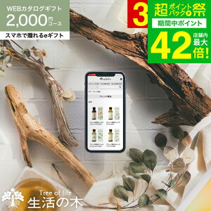 𑡂 ̖ J^OMtg X}ző eMtg [webJ^OMtg e-GIFT ̖ vol.1] Tree Of Life tOX A}IC  n[ueB[ RX MtgZbg 