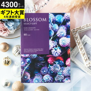 iX[p[SALE  Z[ Ԍj J^OMtg ubT BDR[X / j  oY j oYj @v Cj җ j ސE  LOi O Hו ʐ^