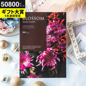 yX[p[SALE  Z[ ԌzJ^OMtg j  oY ubT BMR[X / j oYj @v Cj җ j ސE  LOi O Hו ʐ^ b