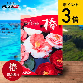 【あす楽14時まで対応 ※日・祝除く】カタログギフト旅行 1万円 旅行券 jtb 結婚祝い 送料無料 JTBたびもの撰華 椿（つばき）体験型カタログ（旅 体験 グルメ 雑貨 ）/高級 お祝い 内祝いお返し 還暦祝い 記念日 引出物 結婚内祝い 写真入り メッセージカード無料 母の日