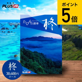 まだ間に合う 母の日 プレゼント カタログギフト旅行 3万円 旅行券 jtb 結婚祝い 送料無料 JTBたびもの撰華 柊（ひいらぎ）体験型カタログ（旅 体験 グルメ 雑貨 ）/高級 お祝い 内祝いお返し 還暦祝い 記念日 引出物 結婚内祝い 写真入り メッセージカード無料