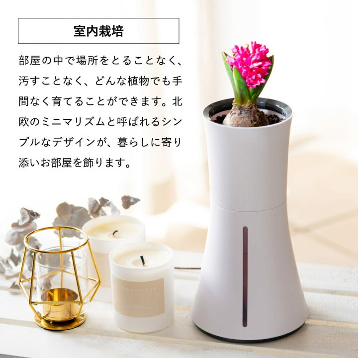 楽天市場】送料無料 スマート水耕栽培キット ボタニアム BOTANIUM 家庭 