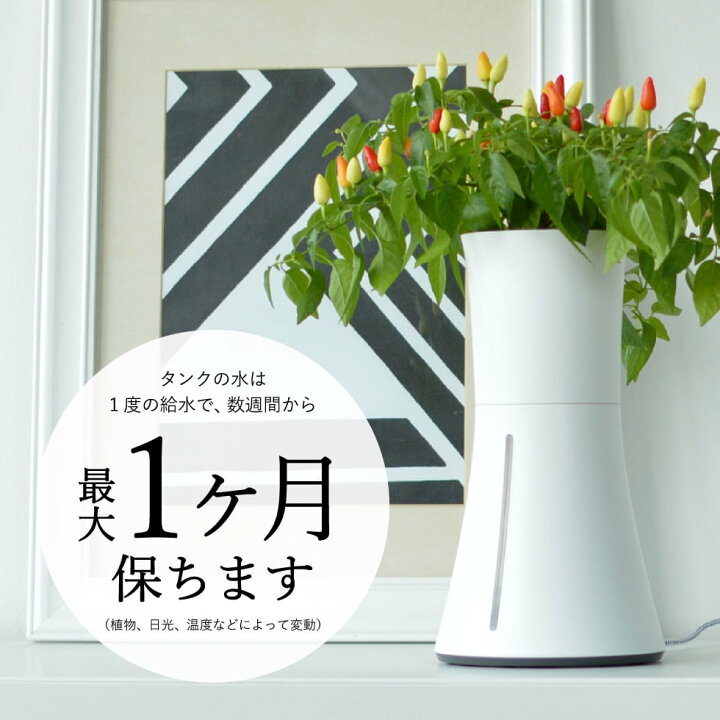 楽天市場】送料無料 スマート水耕栽培キット ボタニアム BOTANIUM 家庭 