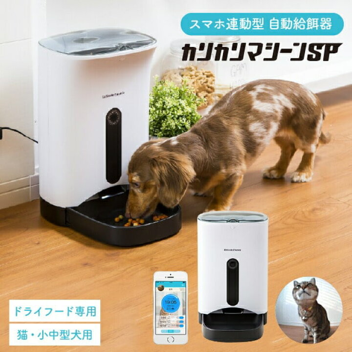 楽天市場】スーパーSALE中ポイントUP！送料無料 犬猫用 スマホ連動型  