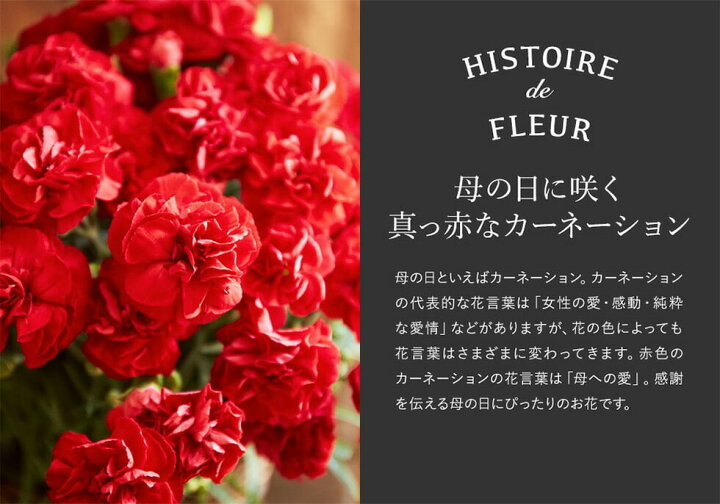 楽天市場 まだ間に合う 母の日 カーネーション スイーツ 鉢植え５号 アンリシャルパンティエ フィナンシェ マドレーヌ 花とスイーツ 母の日ギフトセット メーカー直送 F 21 送料無料 ソムリエ ギフト