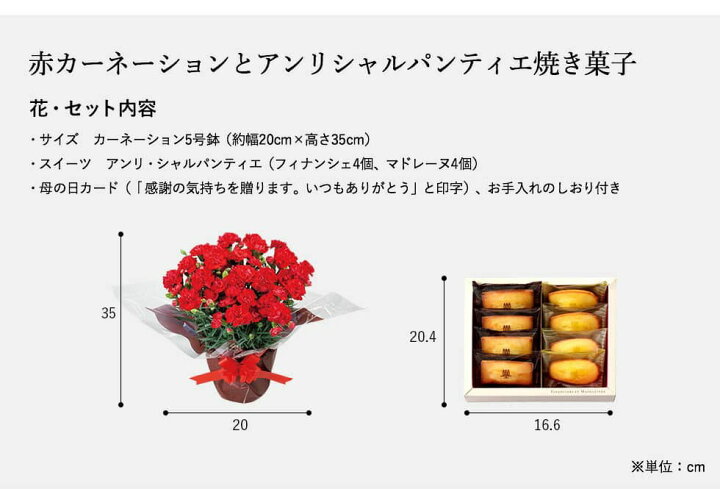 楽天市場 まだ間に合う 母の日 カーネーション スイーツ 鉢植え５号 アンリシャルパンティエ フィナンシェ マドレーヌ 花とスイーツ 母の日ギフトセット メーカー直送 F 21 送料無料 ソムリエ ギフト