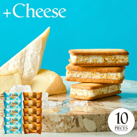 数量限定 お試し 送料無料 スイーツ ”焼いて美味 サクっとリッチなチーズスイーツ” +Cheese プラスチーズ 常温 メール便 個包装 お菓子 プチギフト お配り