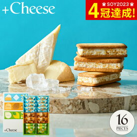 お中元 夏ギフト スイーツ お菓子 ギフト ソムリエ@ギフト オリジナルスイーツ +Cheese プラスチーズ 16個（包装済、外のし）内祝い 出産 結婚内祝い 出産祝い 結婚祝い 手土産 個包装 焼き菓子JGS 送料無料 お返し
