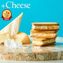 【あす楽14時まで対応 ※日・祝除く】+Cheese プラスチーズ それはおいしい方程式！ / お菓子 ギフト チーズサンド ガ…