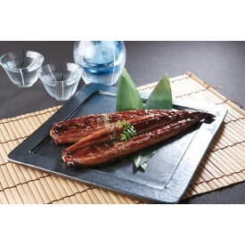 お中元 夏ギフト うなぎ 大森淡水 九州産うなぎ蒲焼大容量セット(10尾) メーカー直送 のし・包装紙・メッセージカード不可 / 鰻 ウナギ 蒲焼き グルメ 和食惣菜 贈答品 贈り物 詰合せ 詰め合わせ セット JGS 送料無料