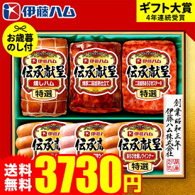 お歳暮 冬ギフト ハムギフト ”大満足ボリューム！”御歳暮ハム 伊藤ハム 伝承献呈 GM-40 お届け期間11月20日頃から12月中旬まで メーカー直送 LTDU お歳暮ハム詰め合わせ 2025 お歳暮専用 ギフトセット ウインナ―入り グルメギフト 肉 3000円台 食べ物 食品 送料無料