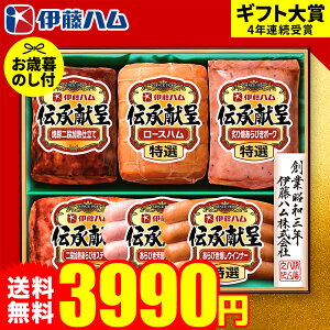 Ε ~Mtg nMtg"W[V[ґnZbg" Εn ɓn ` GM-56 [J[ LTDU Εnlߍ킹 2025 Εp MtgZbg OMtg Hו Hi 