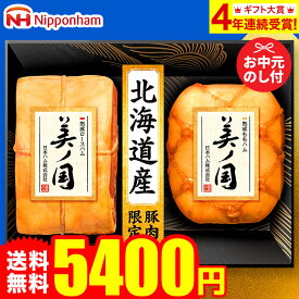 お中元 夏ギフト ギフト 送料無料 ハム 詰め合わせ ギフト 日本ハム 食べ物 北海道 プレミアム美ノ国 UKH-55 （6/20頃から8/5頃のお届け）メーカー直送 LTDU / ハムギフト 2025 お中元 夏ギフト 詰合せ 詰め合わせ セット JGS 御中元