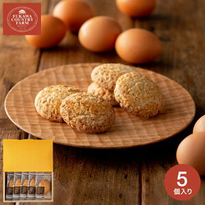 Ε Mtg XC[c j [Jg[t@[ TNTNI[g~[NbL[AiFOC-5j / Ԃ 500~ RC َq܂ mَq  j A z z v`Mtg 