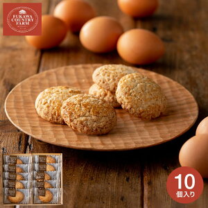 Ε ~Mtg XC[c j َq [Jg[t@[ TNTNI[g~[NbL[BiFOC-10j mَq  Ԃ j oYj oYj j j A 