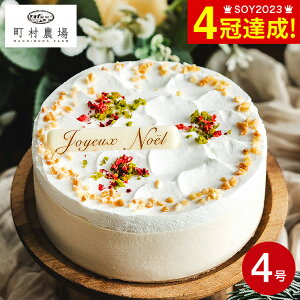 NX}XP[L 2025 _ _̃_ut}[W 4 z[P[L [J[ Ⓚ ͂12/23`12/25 `[YP[L N[`[Y NX}X lC  NX}Xv