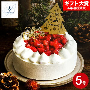 NX}XP[L 2025 u[~bVďC t[YmG NX}Xp[eB[ z[P[L [J[ Ⓚ ͂12/23`12/25 Ԍ NX}X lC  v[g 