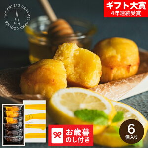 お歳暮 ギフト ザ・スウィーツ 蜜フィナンシェ(6個) SHF10 LTDU / スイーツ お菓子 お歳暮ギフト 2025 御歳暮 お歳暮専用 詰合せ 詰め合わせ セット JGS