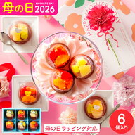 母の日 お菓子 ギフト 和菓子 ”見てかわいい食べて美味しい和スイーツ” 中島大祥堂 ひととえ 贅沢フル…
