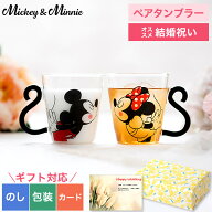 敬老の日 まだ間に合う プレゼント 結婚祝い ペア ギフトセット 食器セット ディズニー 耐熱ペアマグ（ミ…