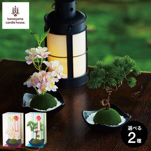 J}LhnEX ~ ۋʃtOXi/j Ԃj J}[\N ʐ^ bZ[WJ[h Mtg i gws