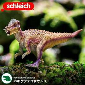 【あす楽14時まで対応 ※日・祝除く】シュライヒ Schleich 15024 パキケファロサウルス Dinosaurs 恐竜 ダイナソー ドイツ フィギュア 玩具 おもちゃ 雑貨 リアル 手塗り 知育玩具 インテリア 教育 プレゼント おしゃれ おすすめ ジュラシックプレゼント 母の日