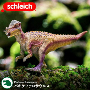 VCq Schleich 15024 pLPt@TEX Dinosaurs  _Ci\[ hCc tBMA ߋ  G A h mߋ CeA    WVbNv