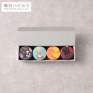 Ε ~Mtg lnCJ ʃXC[c NGC^[YpbP[W XC[cZbg 4Mtg{bNX / ʋlP[L lߍ킹 `[YP[L Kg[VR َq  oY h