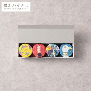 Ε ~Mtg lnCJ ʃXC[c NGC^[YpbP[W XC[cZbg 4Mtg{bNX / ʋlP[L lߍ킹 `[YP[L Kg[VR َq  oY h