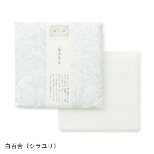 쐭X ӂ uʂLȁvԂӂ / j Ԃ oYj j z A z ސE ei @v e{ a Mtg v`Mtg 100 { Y z 