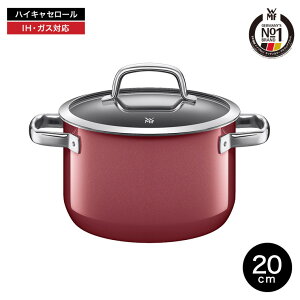 iyEj WMF(F[GGtj t[WebN ~l nCLZ[ 20cm iIHEKXΑΉj/ [^ WMF Wt ӂt ύݗ g H@Ή  JG