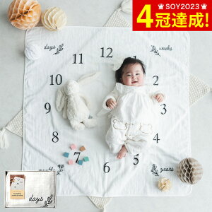 ^I GufCAjo[T[ I[KjbNRbg^I 100×100cm 42050 / Mtg v[g oYj xr[ K[[pC^I  ^IPbg I[KjbNRbg  100% 