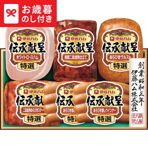 Ε ~Mtg ɓn `Mtg TO503  [J[ LTDU / Mtg n ΕMtg 2025 Ε Εp l lߍ킹 Zbg JGS