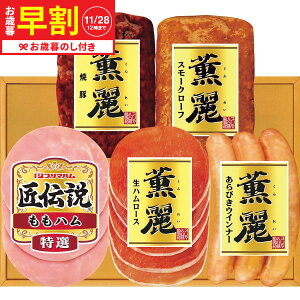 Ε ~Mtg  v}nMtg SD-TL  [J[ LTDU / Mtg n ΕMtg 2025 Ε Εp l lߍ킹 Zbg JGS